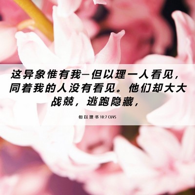 Picture 06 - 但 以 理 书 10:7 CUVS - 这 异 象 惟 有 我 ─ 但 以 理 一 人 - Bible Verse Picture