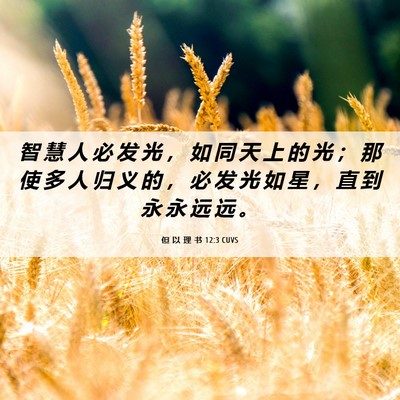 Picture 06 - 但 以 理 书 12:3 CUVS - 智 慧 人 必 发 光 ， 如 同 天 上 的 - Bible Verse Picture