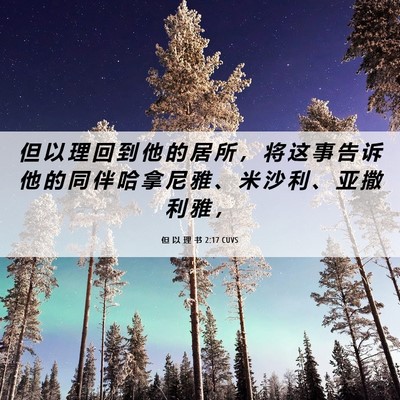 Picture 06 - 但 以 理 书 2:17 CUVS - 但 以 理 回 到 他 的 居 所 ， 将 这 - Bible Verse Picture