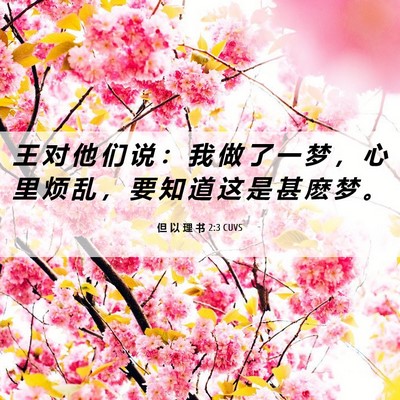 Picture 06 - 但 以 理 书 2:3 CUVS - 王 对 他 们 说 ： 我 做 了 一 梦 ， - Bible Verse Picture