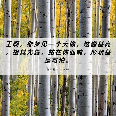 Picture 06 - 但 以 理 书 2:31 CUVS - 王 啊 ， 你 梦 见 一 个 大 像 ， 这 - Bible Verse Picture