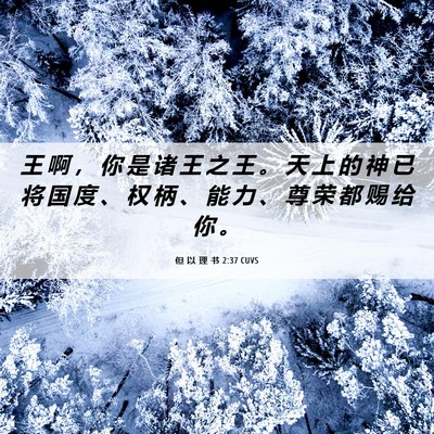 Picture 06 - 但 以 理 书 2:37 CUVS - 王 啊 ， 你 是 诸 王 之 王 。 天 上 - Bible Verse Picture