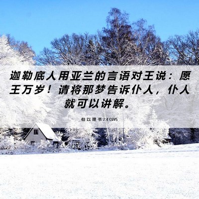 Picture 06 - 但 以 理 书 2:4 CUVS - 迦 勒 底 人 用 亚 兰 的 言 语 对 王 - Bible Verse Picture