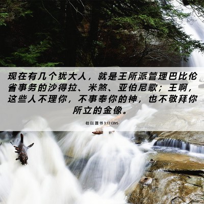 Picture 06 - 但 以 理 书 3:12 CUVS - 现 在 有 几 个 犹 大 人 ， 就 是 王 - Bible Verse Picture
