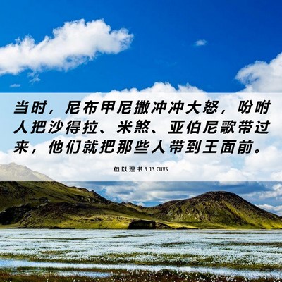 Picture 06 - 但 以 理 书 3:13 CUVS - 当 时 ， 尼 布 甲 尼 撒 冲 冲 大 怒 - Bible Verse Picture