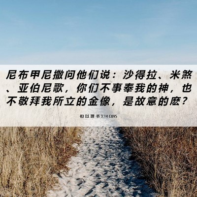 Picture 06 - 但 以 理 书 3:14 CUVS - 尼 布 甲 尼 撒 问 他 们 说 ： 沙 得 - Bible Verse Picture