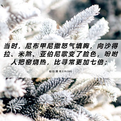 Picture 06 - 但 以 理 书 3:19 CUVS - 当 时 ， 尼 布 甲 尼 撒 怒 气 填 胸 - Bible Verse Picture