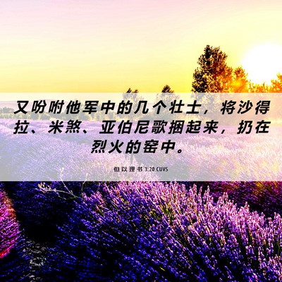 Picture 06 - 但 以 理 书 3:20 CUVS - 又 吩 咐 他 军 中 的 几 个 壮 士 ， - Bible Verse Picture
