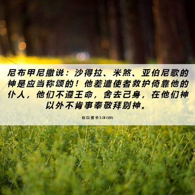 Picture 06 - 但 以 理 书 3:28 CUVS - 尼 布 甲 尼 撒 说 ： 沙 得 拉 、 米 - Bible Verse Picture