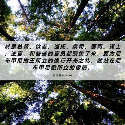 Picture 06 - 但 以 理 书 3:3 CUVS - 於 是 总 督 、 钦 差 、 巡 抚 、 臬 - Bible Verse Picture