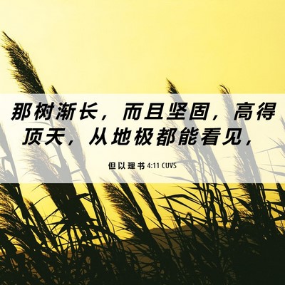 Picture 06 - 但 以 理 书 4:11 CUVS - 那 树 渐 长 ， 而 且 坚 固 ， 高 得 - Bible Verse Picture