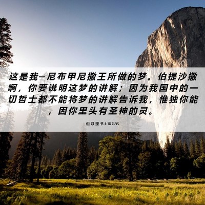 Picture 06 - 但 以 理 书 4:18 CUVS - 这 是 我 ─ 尼 布 甲 尼 撒 王 所 做 - Bible Verse Picture
