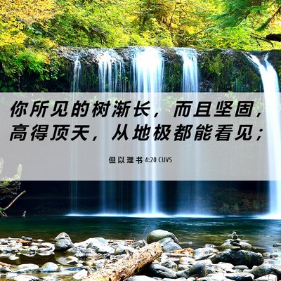 Picture 06 - 但 以 理 书 4:20 CUVS - 你 所 见 的 树 渐 长 ， 而 且 坚 固 - Bible Verse Picture
