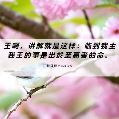Picture 06 - 但 以 理 书 4:24 CUVS - 王 啊 ， 讲 解 就 是 这 样 ： 临 到 - Bible Verse Picture