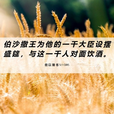 Picture 06 - 但 以 理 书 5:1 CUVS - 伯 沙 撒 王 为 他 的 一 千 大 臣 设 - Bible Verse Picture