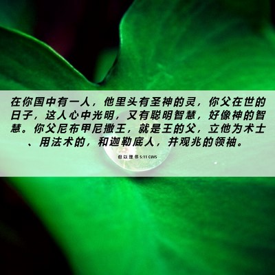 Picture 06 - 但 以 理 书 5:11 CUVS - 在 你 国 中 有 一 人 ， 他 里 头 有 - Bible Verse Picture