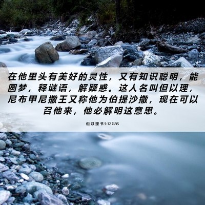 Picture 06 - 但 以 理 书 5:12 CUVS - 在 他 里 头 有 美 好 的 灵 性 ， 又 - Bible Verse Picture