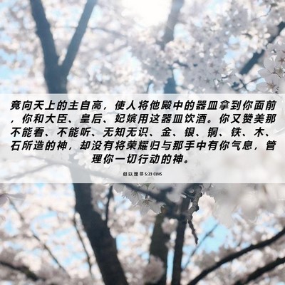 Picture 06 - 但 以 理 书 5:23 CUVS - 竟 向 天 上 的 主 自 高 ， 使 人 将 - Bible Verse Picture