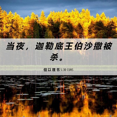 Picture 06 - 但 以 理 书 5:30 CUVS - 当 夜 ， 迦 勒 底 王 伯 沙 撒 被 杀 - Bible Verse Picture