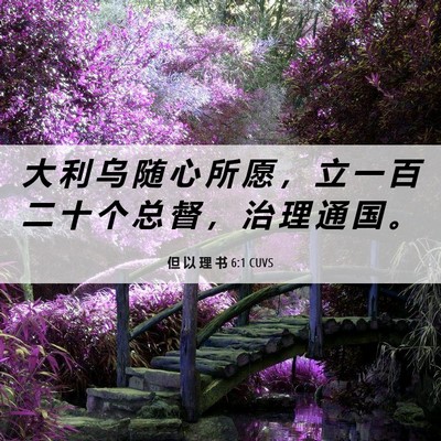 Picture 06 - 但 以 理 书 6:1 CUVS - 大 利 乌 随 心 所 愿 ， 立 一 百 二 - Bible Verse Picture