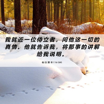 Picture 06 - 但 以 理 书 7:16 CUVS - 我 就 近 一 位 侍 立 者 ， 问 他 这 - Bible Verse Picture