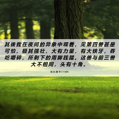 Picture 06 - 但 以 理 书 7:7 CUVS - 其 後 我 在 夜 间 的 异 象 中 观 看 - Bible Verse Picture