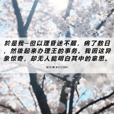 Picture 06 - 但 以 理 书 8:27 CUVS - 於 是 我 ─ 但 以 理 昏 迷 不 醒 ， - Bible Verse Picture