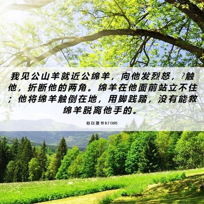 Picture 06 - 但 以 理 书 8:7 CUVS - 我 见 公 山 羊 就 近 公 绵 羊 ， 向 - Bible Verse Picture