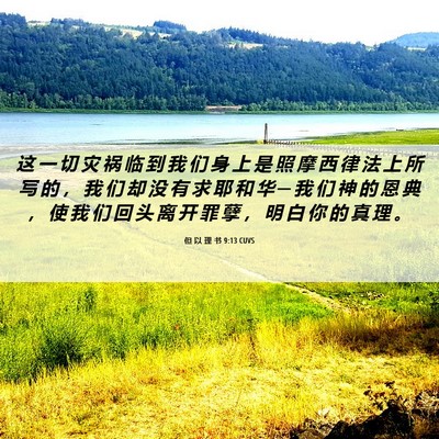Picture 06 - 但 以 理 书 9:13 CUVS - 这 一 切 灾 祸 临 到 我 们 身 上 是 - Bible Verse Picture
