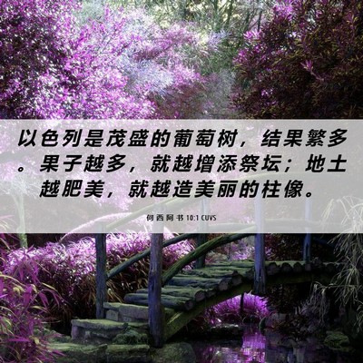 Picture 06 - 何 西 阿 书 10:1 CUVS - 以 色 列 是 茂 盛 的 葡 萄 树 ， 结 - Bible Verse Picture
