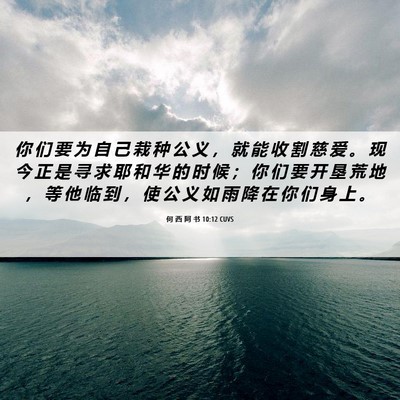 Picture 06 - 何 西 阿 书 10:12 CUVS - 你 们 要 为 自 己 栽 种 公 义 ， 就 - Bible Verse Picture