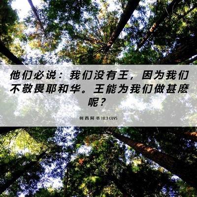 Picture 06 - 何 西 阿 书 10:3 CUVS - 他 们 必 说 ： 我 们 没 有 王 ， 因 - Bible Verse Picture