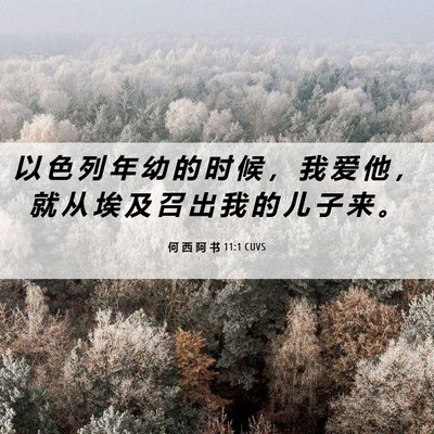 Picture 06 - 何 西 阿 书 11:1 CUVS - 以 色 列 年 幼 的 时 候 ， 我 爱 他 - Bible Verse Picture