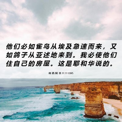 Picture 06 - 何 西 阿 书 11:11 CUVS - 他 们 必 如 雀 鸟 从 埃 及 急 速 而 - Bible Verse Picture