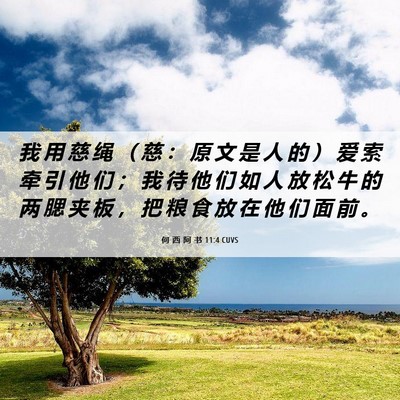 Picture 06 - 何 西 阿 书 11:4 CUVS - 我 用 慈 绳 （ 慈 ： 原 文 是 人 的 - Bible Verse Picture