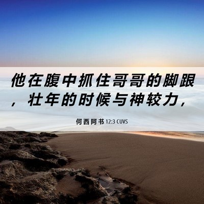 Picture 06 - 何 西 阿 书 12:3 CUVS - 他 在 腹 中 抓 住 哥 哥 的 脚 跟 ， - Bible Verse Picture