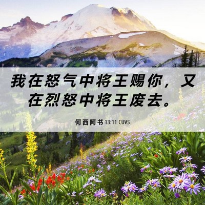Picture 06 - 何 西 阿 书 13:11 CUVS - 我 在 怒 气 中 将 王 赐 你 ， 又 在 - Bible Verse Picture