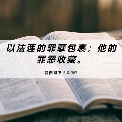 Picture 06 - 何 西 阿 书 13:12 CUVS - 以 法 莲 的 罪 孽 包 裹 ； 他 的 罪 - Bible Verse Picture