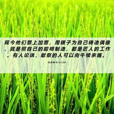 Picture 06 - 何 西 阿 书 13:2 CUVS - 现 今 他 们 罪 上 加 罪 ， 用 银 子 - Bible Verse Picture