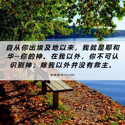 Picture 06 - 何 西 阿 书 13:4 CUVS - 自 从 你 出 埃 及 地 以 来 ， 我 就 - Bible Verse Picture