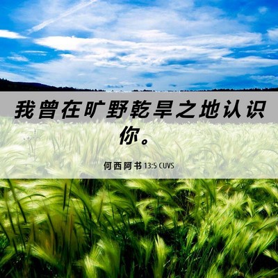 Picture 06 - 何 西 阿 书 13:5 CUVS - 我 曾 在 旷 野 乾 旱 之 地 认 识 你 - Bible Verse Picture