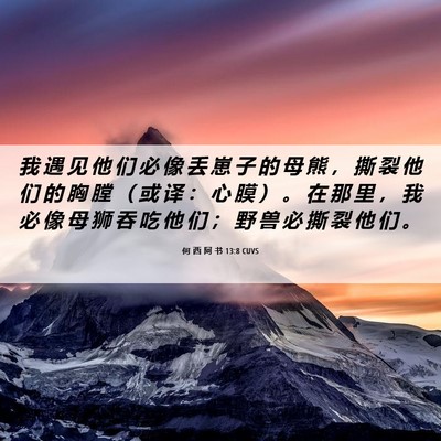 Picture 06 - 何 西 阿 书 13:8 CUVS - 我 遇 见 他 们 必 像 丢 崽 子 的 母 - Bible Verse Picture