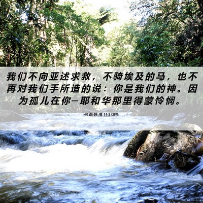 Picture 06 - 何 西 阿 书 14:3 CUVS - 我 们 不 向 亚 述 求 救 ， 不 骑 埃 - Bible Verse Picture