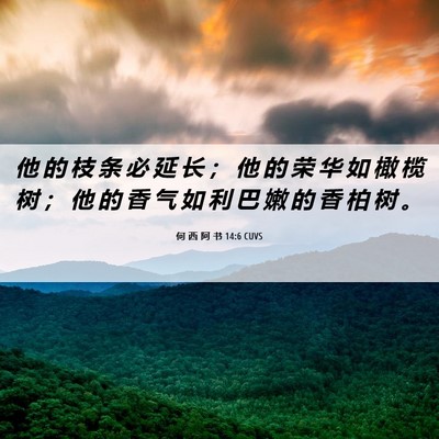 Picture 06 - 何 西 阿 书 14:6 CUVS - 他 的 枝 条 必 延 长 ； 他 的 荣 华 - Bible Verse Picture