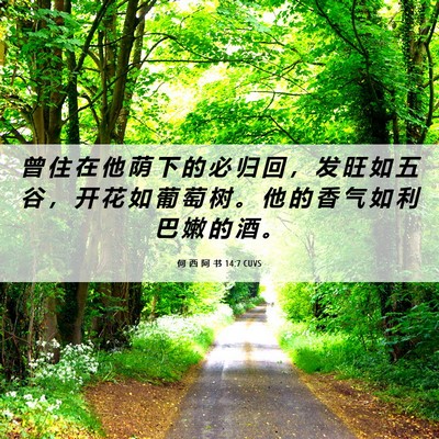 Picture 06 - 何 西 阿 书 14:7 CUVS - 曾 住 在 他 荫 下 的 必 归 回 ， 发 - Bible Verse Picture