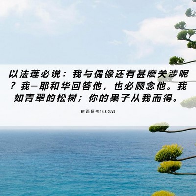Picture 06 - 何 西 阿 书 14:8 CUVS - 以 法 莲 必 说 ： 我 与 偶 像 还 有 - Bible Verse Picture