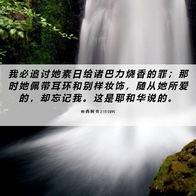 Picture 06 - 何 西 阿 书 2:13 CUVS - 我 必 追 讨 她 素 日 给 诸 巴 力 烧 - Bible Verse Picture