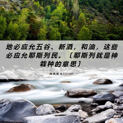 Picture 06 - 何 西 阿 书 2:22 CUVS - 地 必 应 允 五 谷 、 新 酒 ， 和 油 - Bible Verse Picture