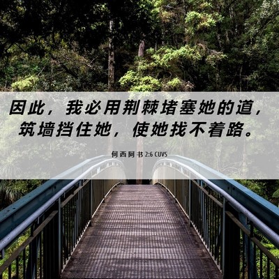 Picture 06 - 何 西 阿 书 2:6 CUVS - 因 此 ， 我 必 用 荆 棘 堵 塞 她 的 - Bible Verse Picture