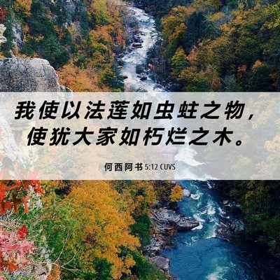 Picture 06 - 何 西 阿 书 5:12 CUVS - 我 使 以 法 莲 如 虫 蛀 之 物 ， 使 - Bible Verse Picture